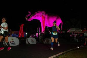 BIB: 
                            <button type="button" onclick="openModal(26543468)" class="btn btn-primary btn-sm float-right btn-popup" data-toggle="modal" data-target=".modal-high-quality">
                        <i class="fas fa-shopping-cart"></i> Add to Cart
                    </button>
                                            <button type="button" onclick="isThisMe(26543468, true)" class="btn btn-success btn-sm float-right btn-popup btn-isme hidden" data-toggle="tooltip" data-placement="bottom" title="นี่คือรูปของคุณใช่ไหม คลิกที่นี่เพื่อเอาเข้าอัลบั้ม">
                        <i class="fas fa-plus"></i> Add to album
                    </button>
                    <button type="button" onclick="isThisMe(26543468, false)" class="btn btn-warning btn-sm float-right btn-popup btn-isnotme hidden">
                        <i class="fas fa-ban"></i> Remove from album
                    </button>